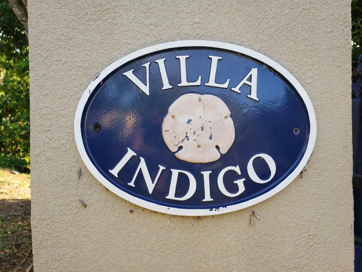 Villa Indigo Sunny 1Br Apartment In Private Gated Estate Charlotte Amalie Ngoại thất bức ảnh