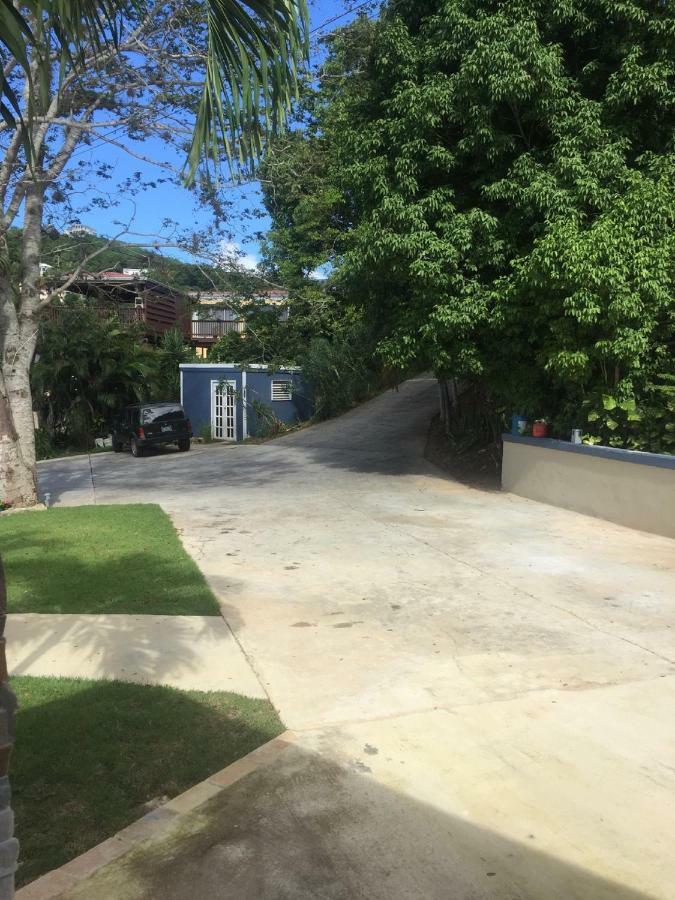 Villa Indigo Sunny 1Br Apartment In Private Gated Estate Charlotte Amalie Ngoại thất bức ảnh